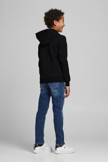 Boy's hooded sweatshirt with zip