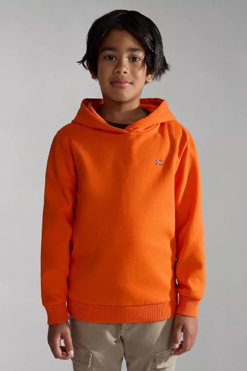 Boy's hooded sweatshirt